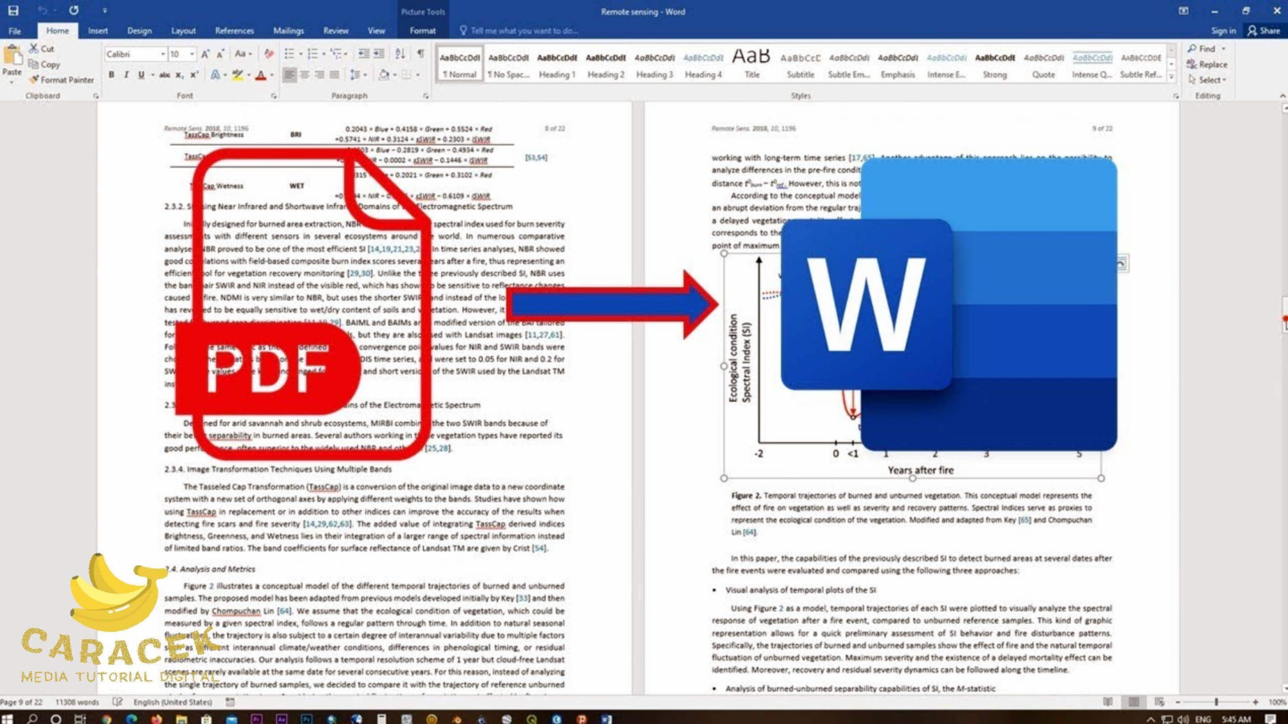 Ternyata Semudah Ini Mengubah Tabel PDF ke Word Tanpa Berantakan, Wajib Tahu Sebelum Deadline