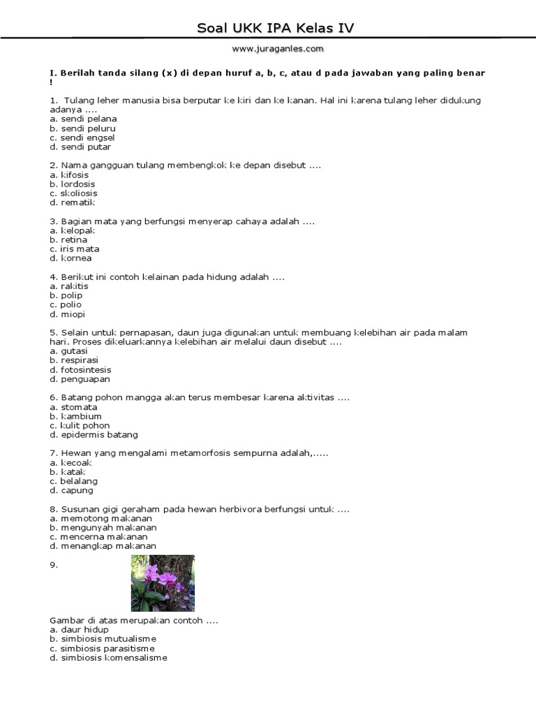 Soal UKK IPA Kelas IV Latihan dan Jawaban PDF