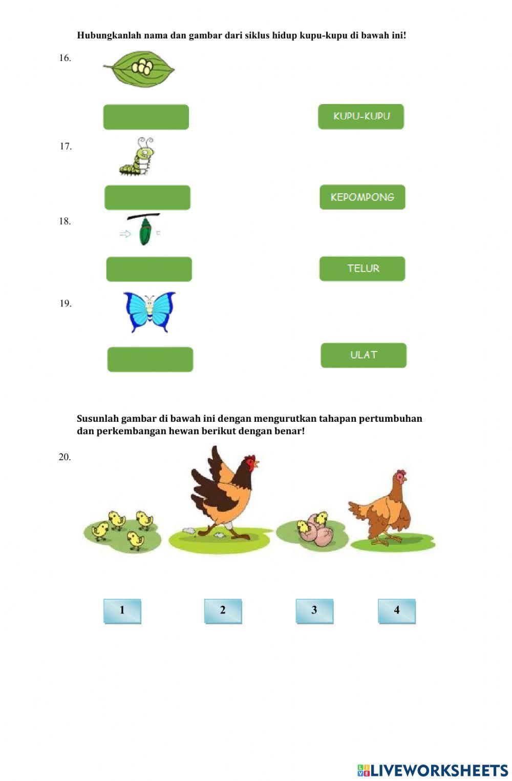 Rahasia Nilai Sempurna dengan Latihan soal pts tema 6 kelas 4 juragan les Terbaru